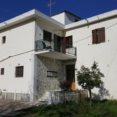 Olympia Sweet Home Ολυμπία Εξωτερικό φωτογραφία